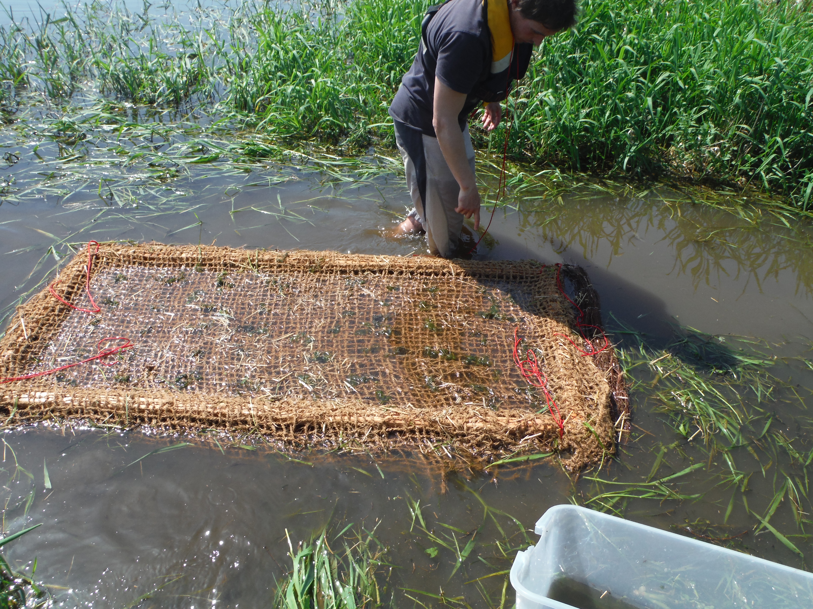 Modules CYANPROTEC innovation hydrophytes cultures expérimentations