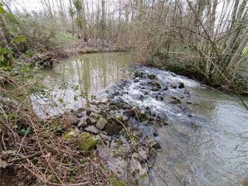 Maitrise d’œuvre au ruisseau Pont-Manceau à Château-Gontier